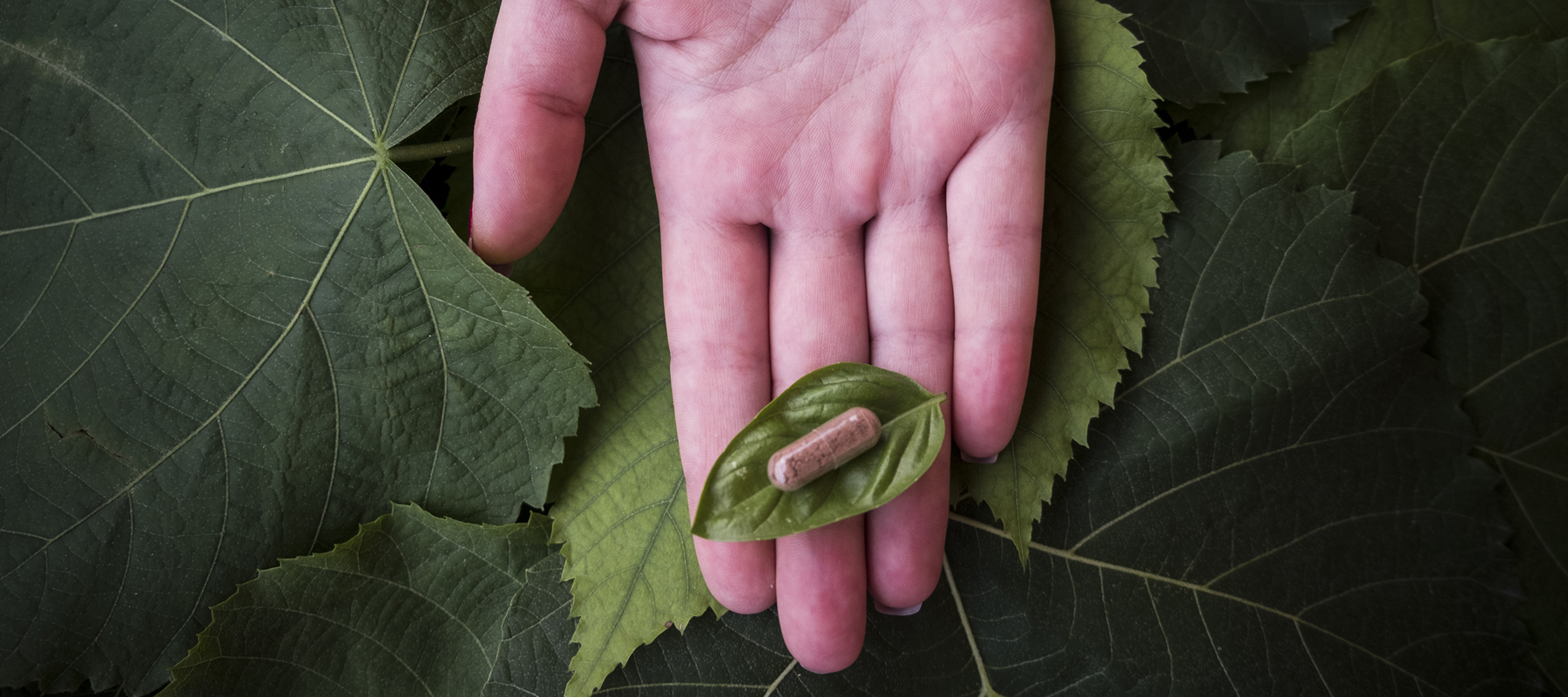 Integratori naturali