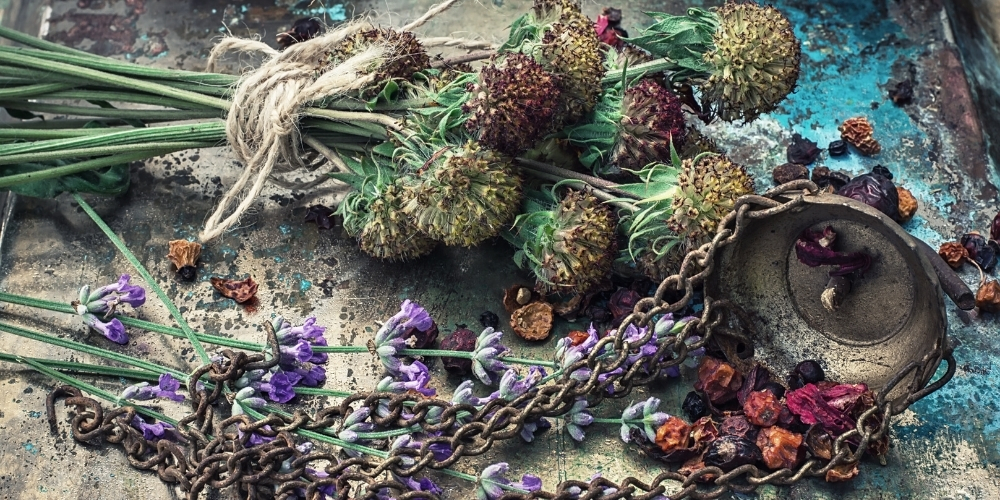 fitoterapia in autunno